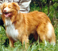 Bild: milton.jpg