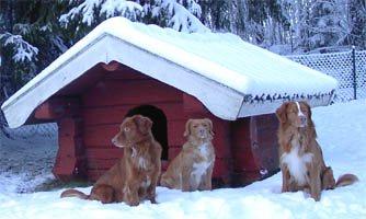 minimirbborsdec05.jpg