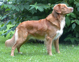 mirbat030825.jpg