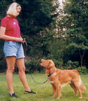 nelson pernilla