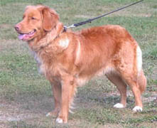 Nicki augusti 2002