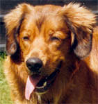 roffe