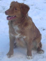 Ronja december 2002