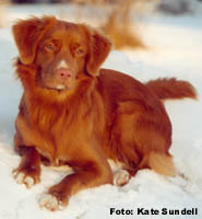 Bild: ronja