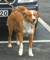 Bild: Rozzo maj 2005
