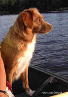 Bild: tara.  aug 2005