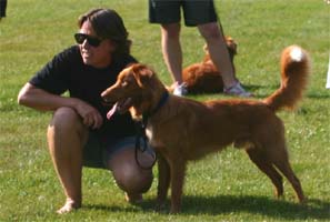 tollarspec06agility1.jpg