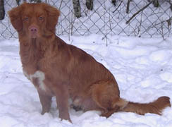 Totte 14 februari 2003