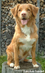 Bild: tova.jpg
