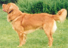 valle