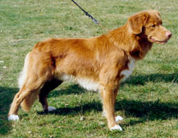 Bild: willesida.jpg