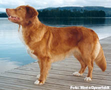 Bild: wilma